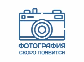 РАСХОДОМЕР ЭЛЕКТРОМЕХАНИЧЕСКИЙ МР 375/250
