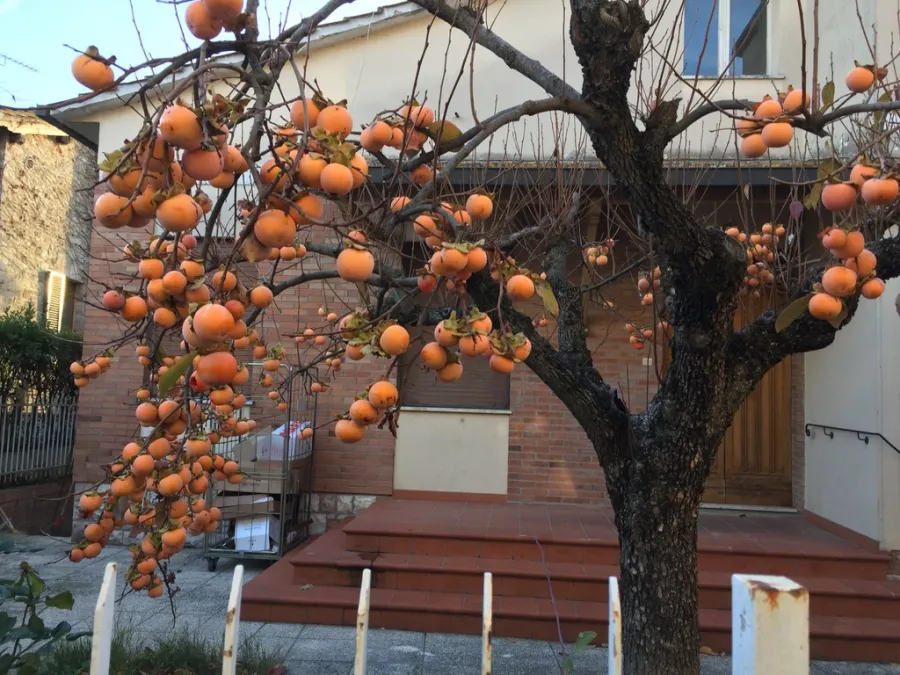 НАШИМ ИТАЛЬЯНСКИМ ПАРТНЕРАМ ИСПОЛНЯЕТСЯ 70 ЛЕТ